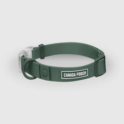 Collars & Leashes