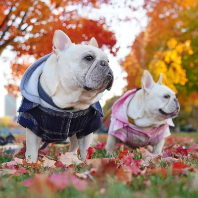 Shop Cool Temps