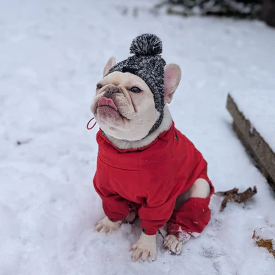 Shop Snow & Cold