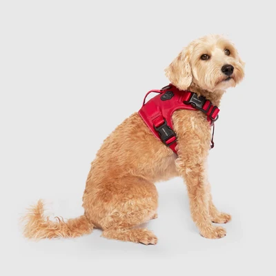 Shop Harnesses