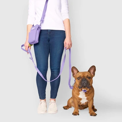 Shop Collars & Leashes