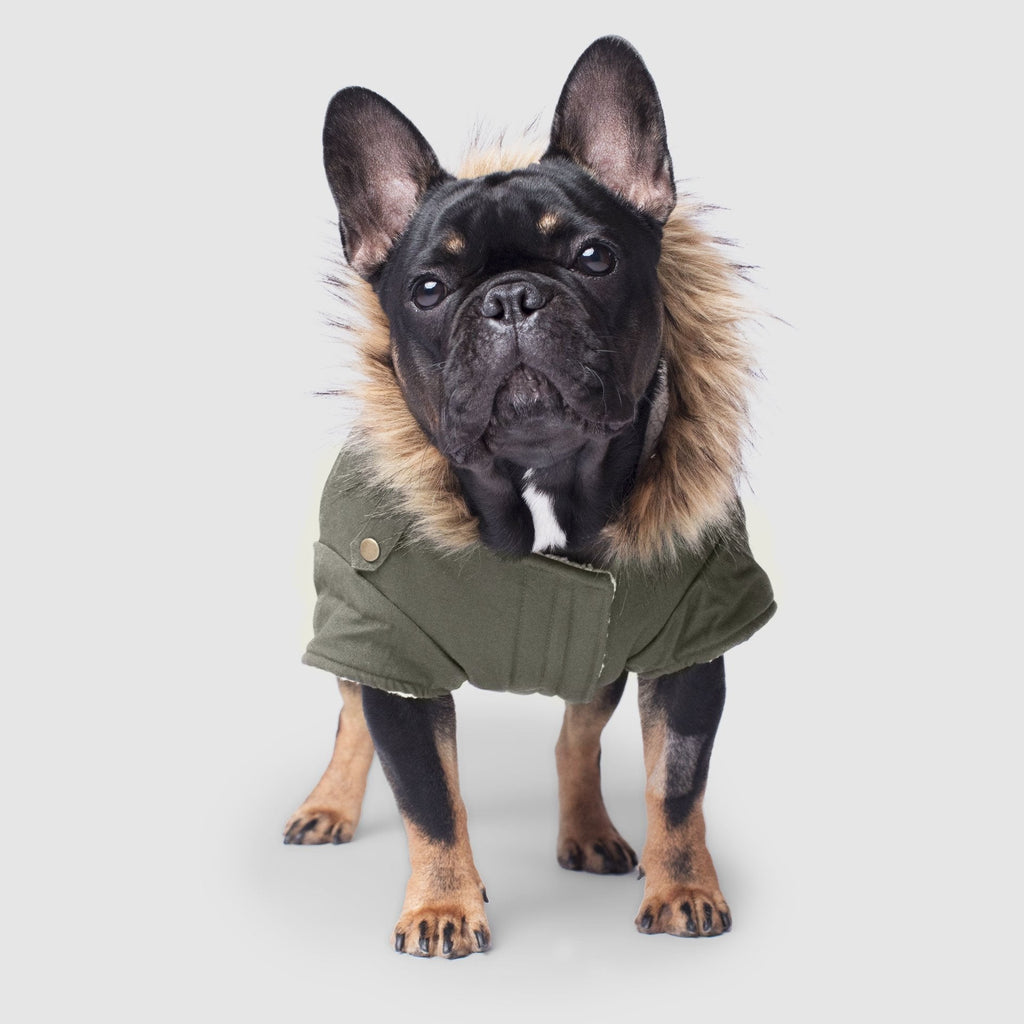 Alaskan Army Parka X2ag