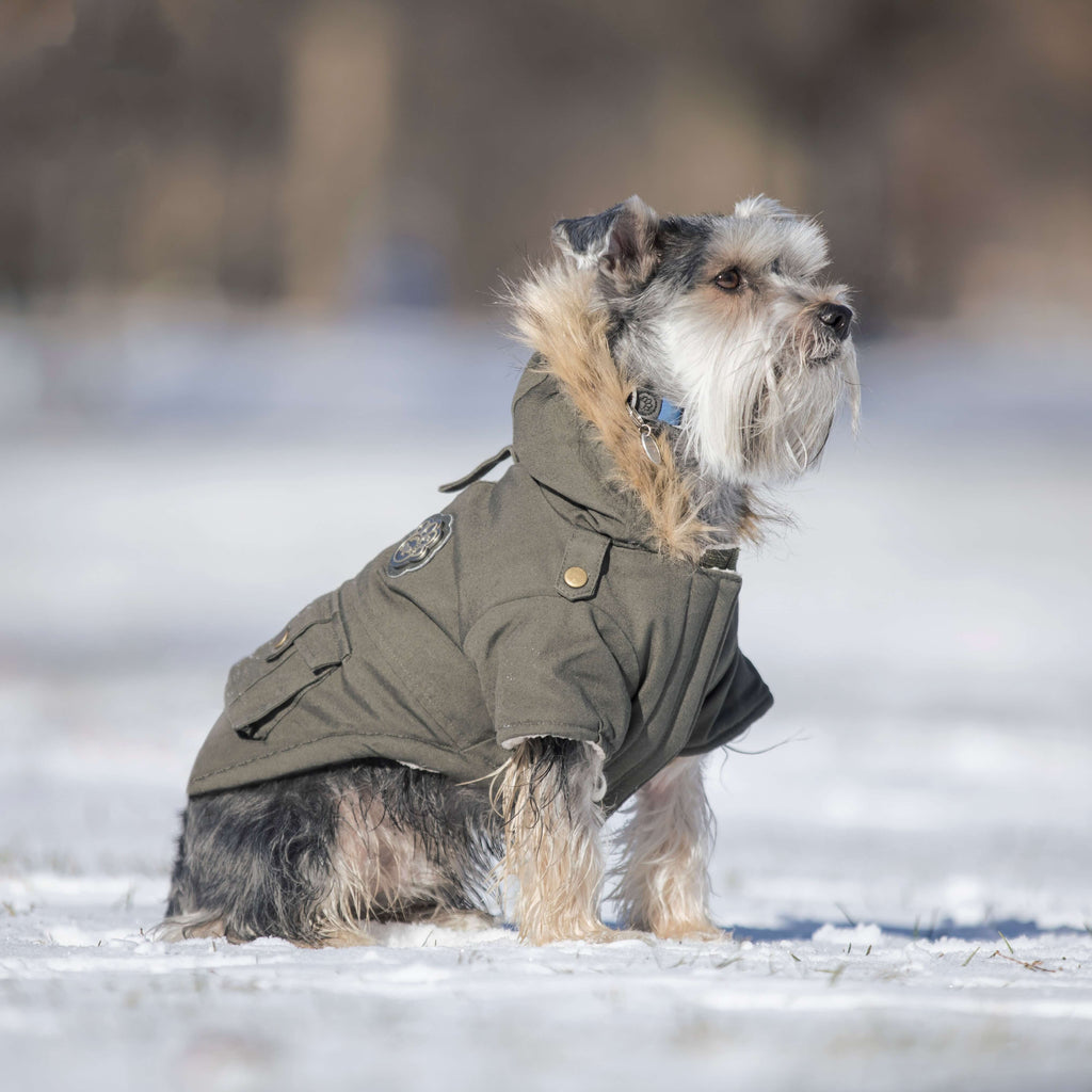 Alaskan Army Parka X2ag