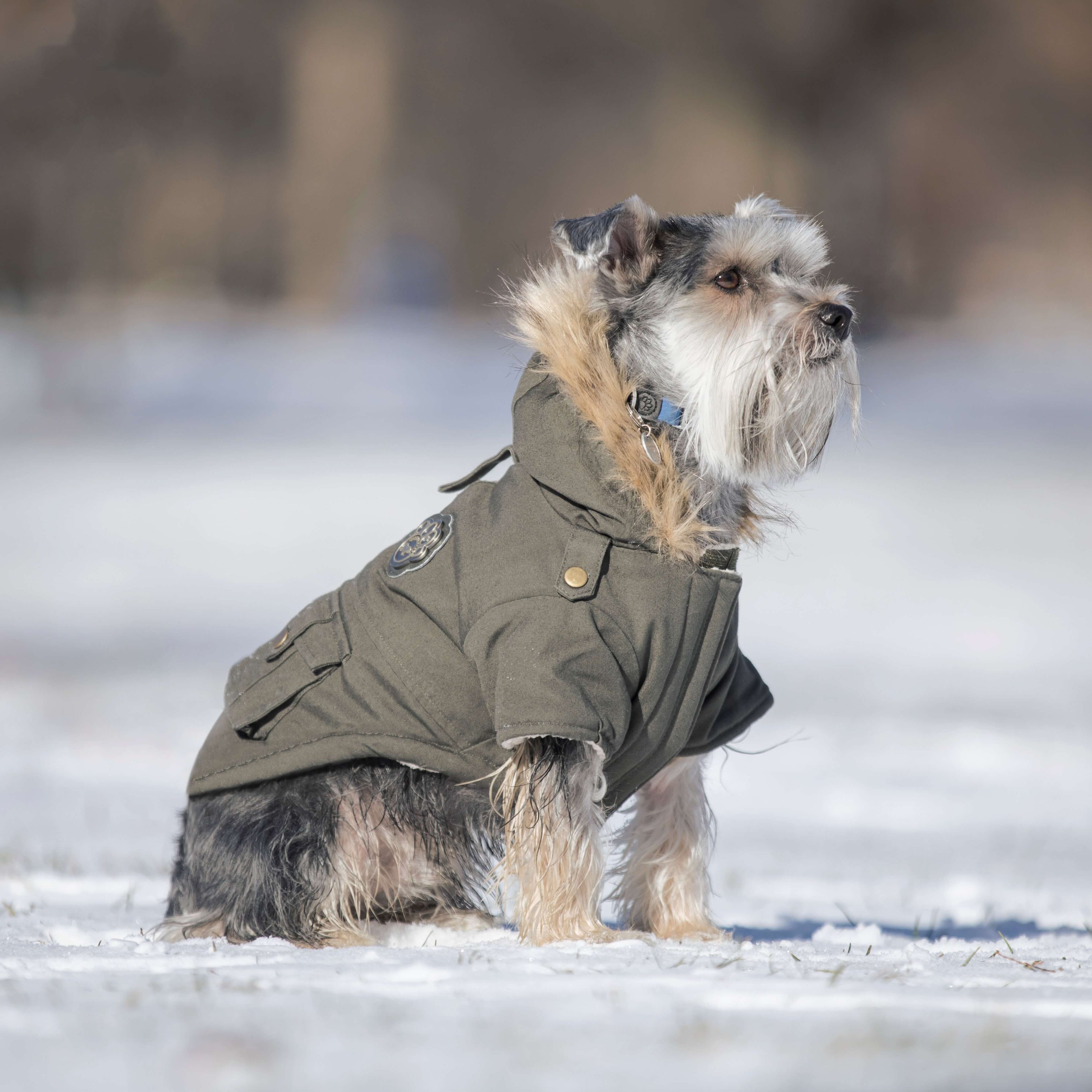 Alaskan Army Parka X2ag