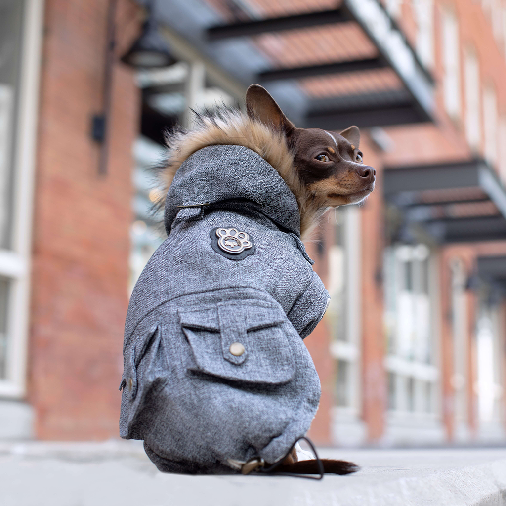 Alaskan Army Parka X2ag