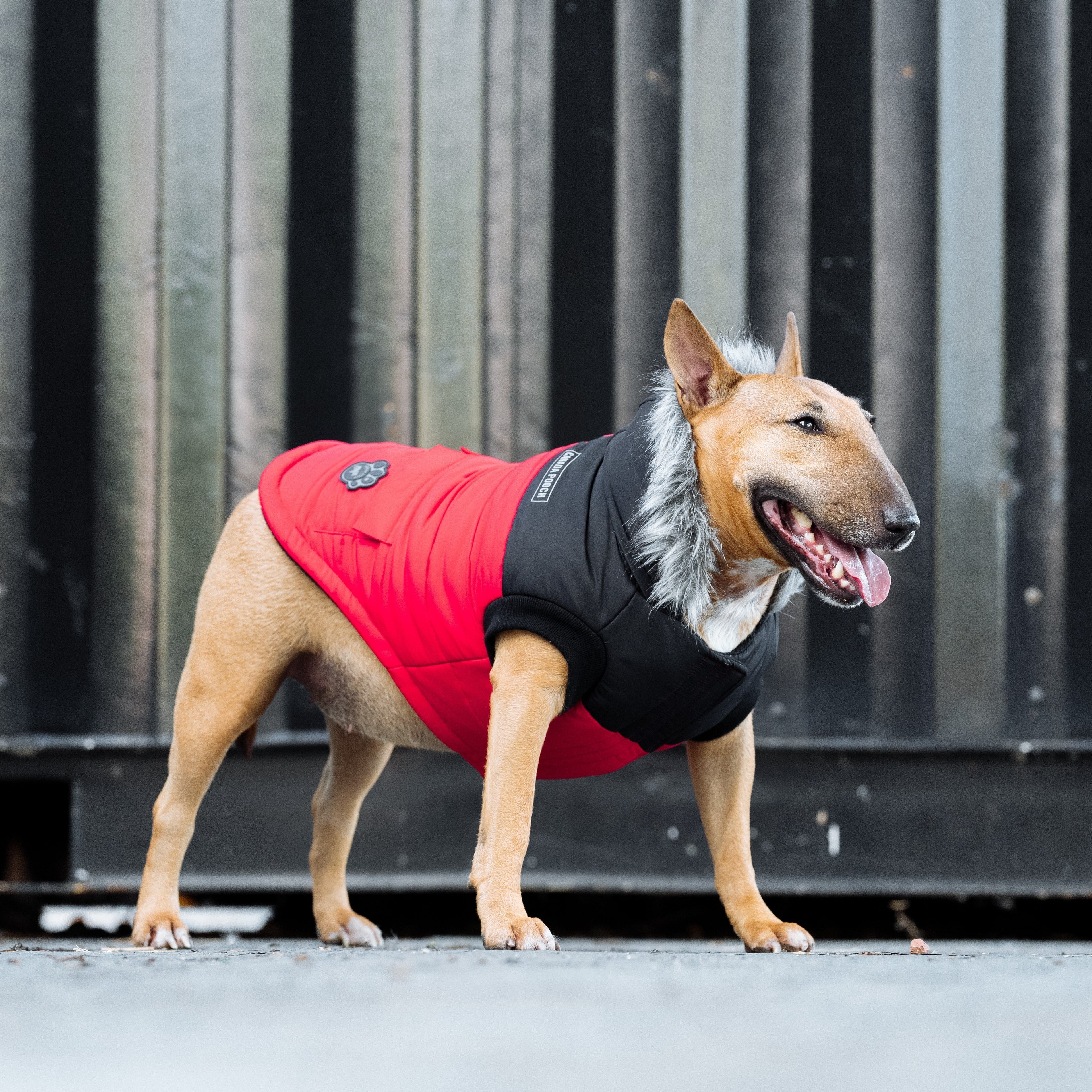 True North Parka C8ab