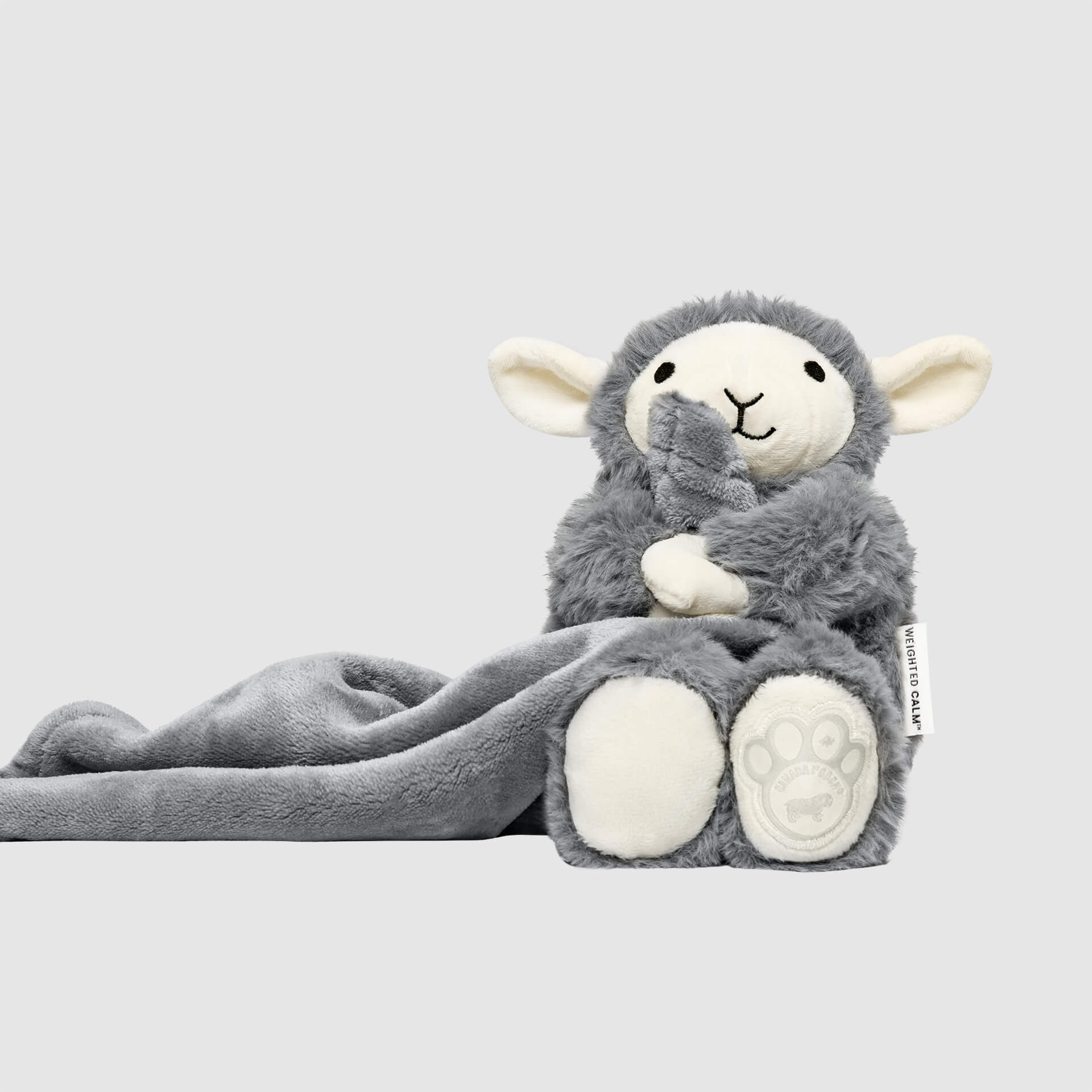 Weighted Calming Toy F5cp