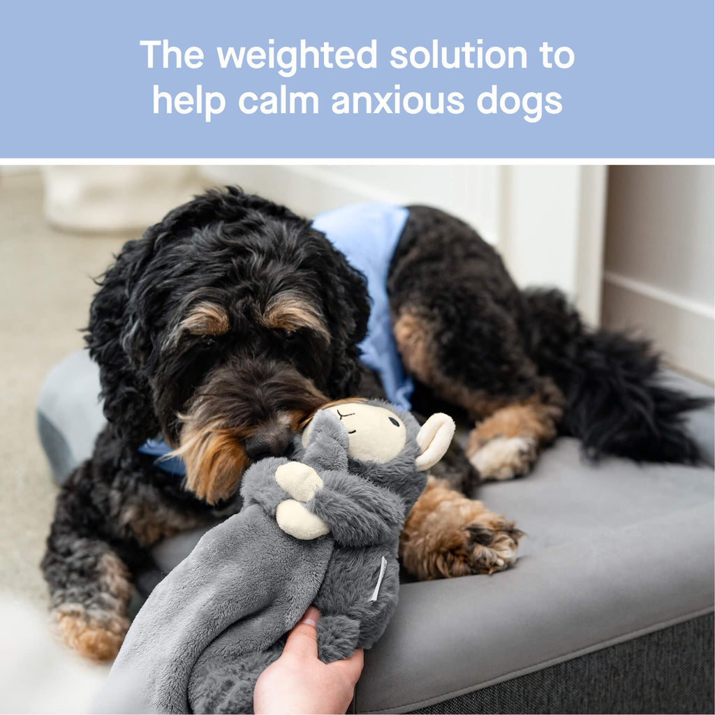 Weighted Calming Toy F5cp