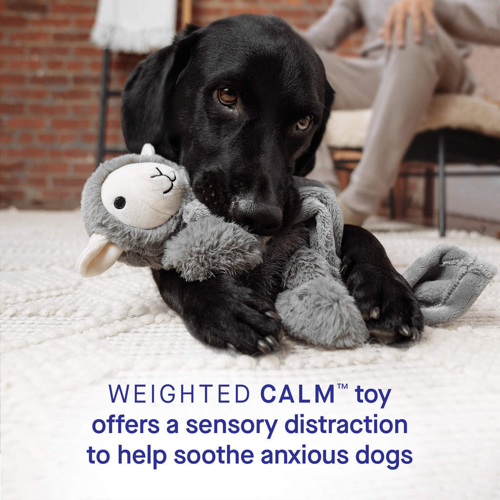 Weighted Calming Toy F5cp
