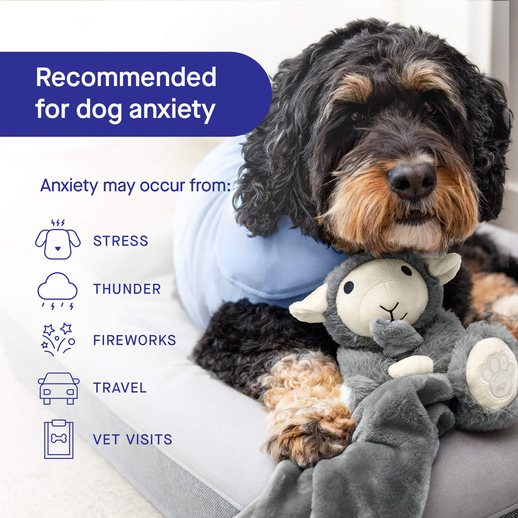 Weighted Calming Toy F5cp