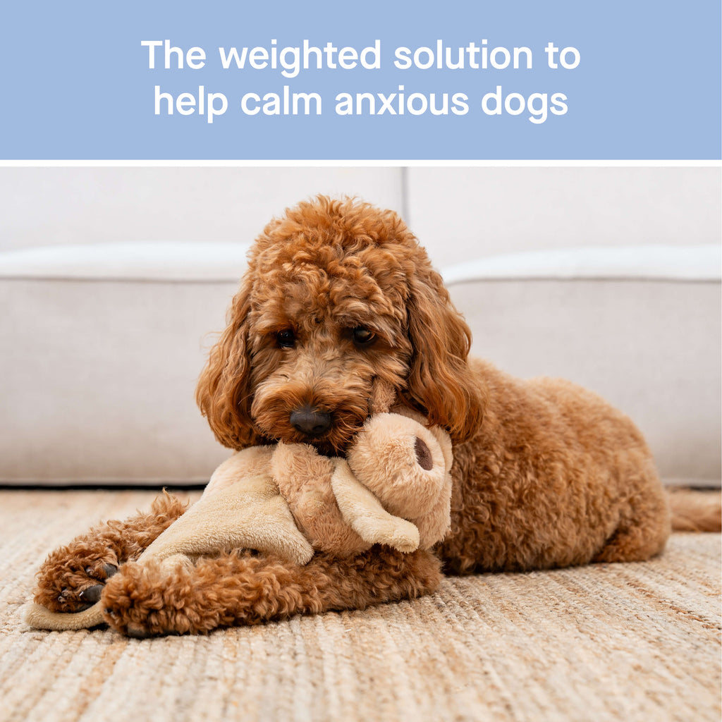 Weighted Calming Toy F5cp
