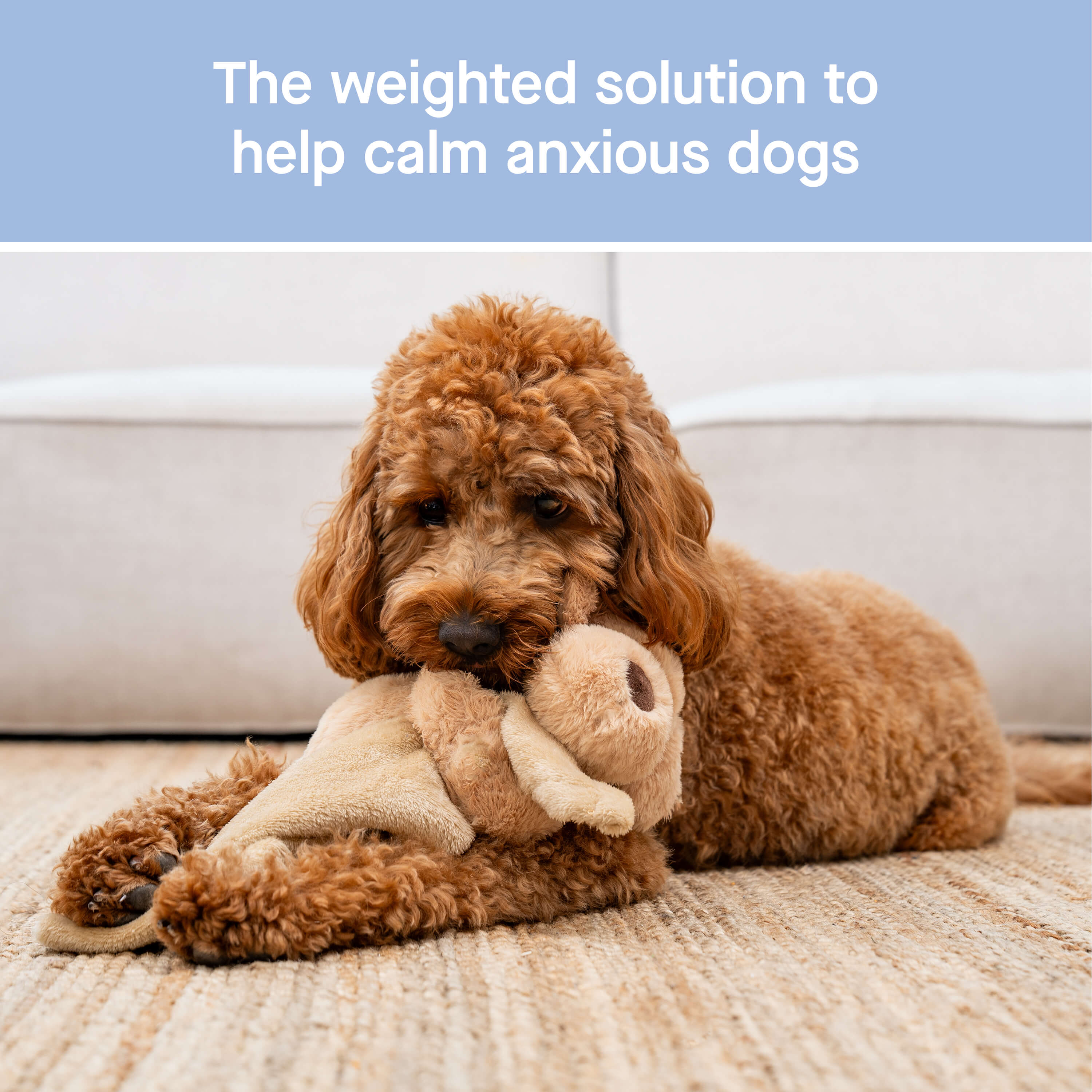 Weighted Calming Toy F5cp