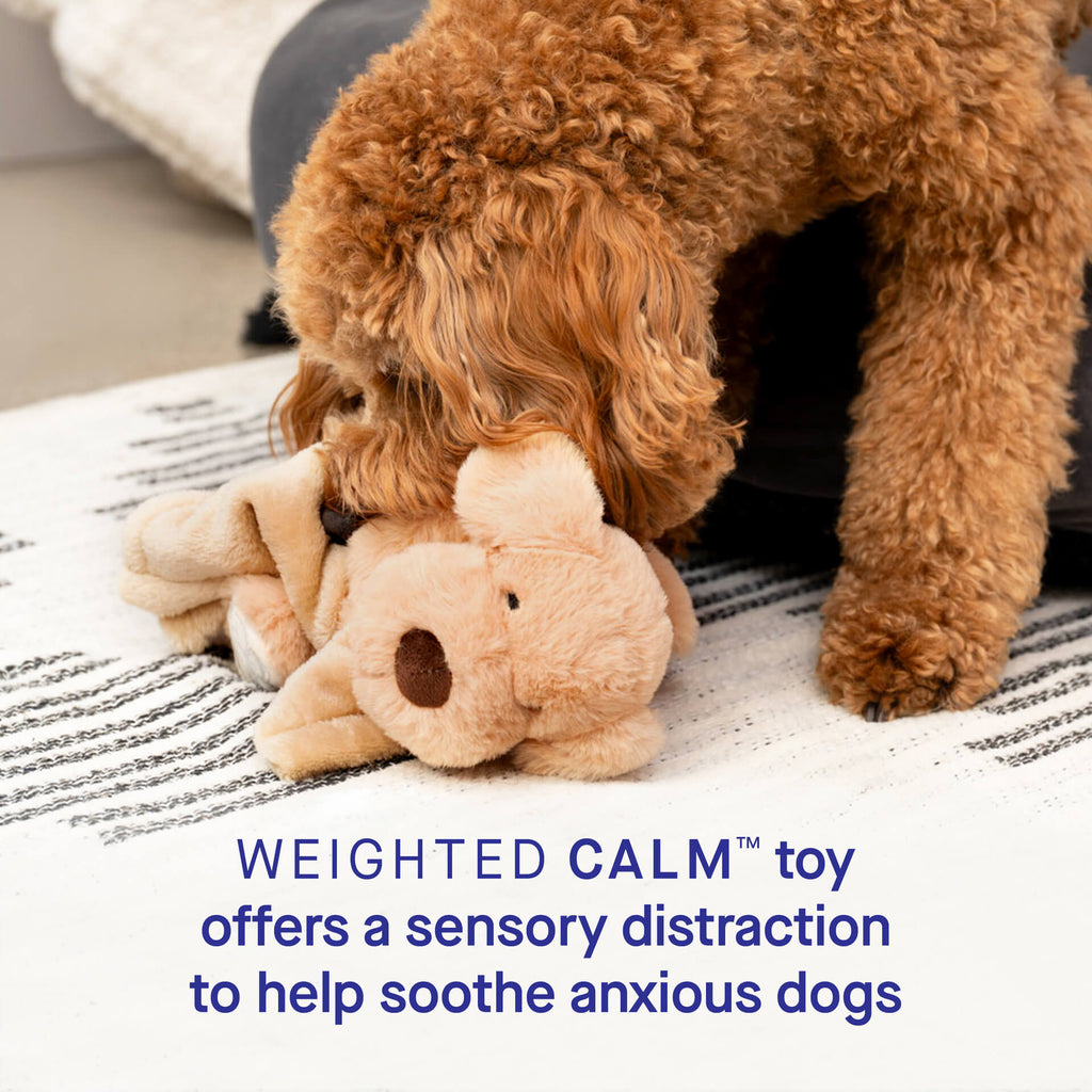 Weighted Calming Toy F5cp