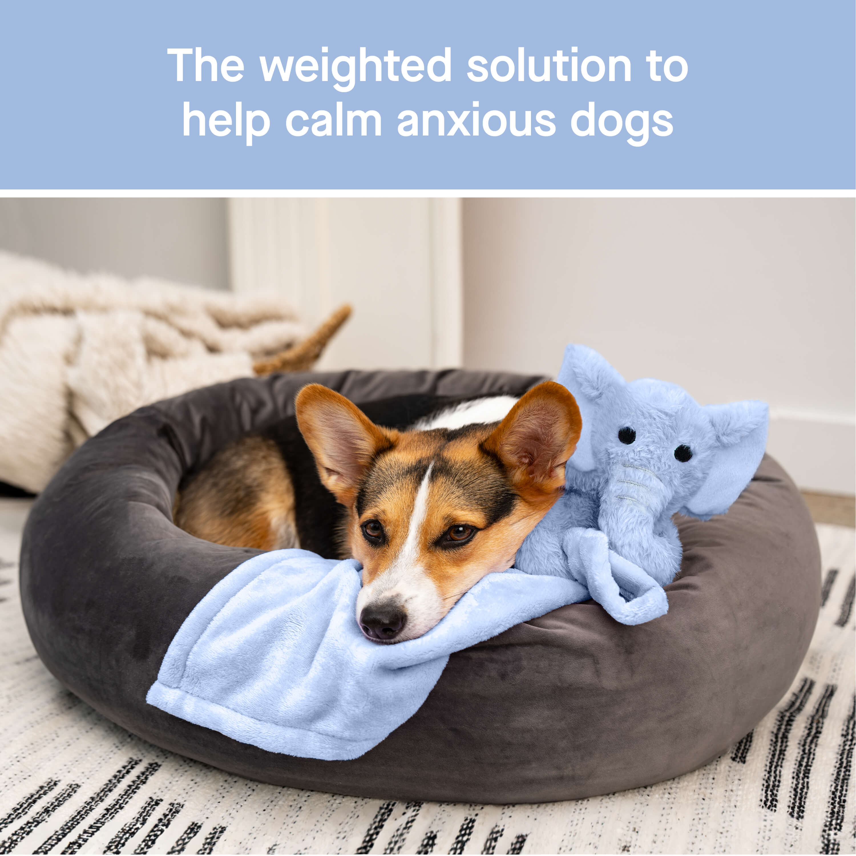 Weighted Calming Toy F5cp