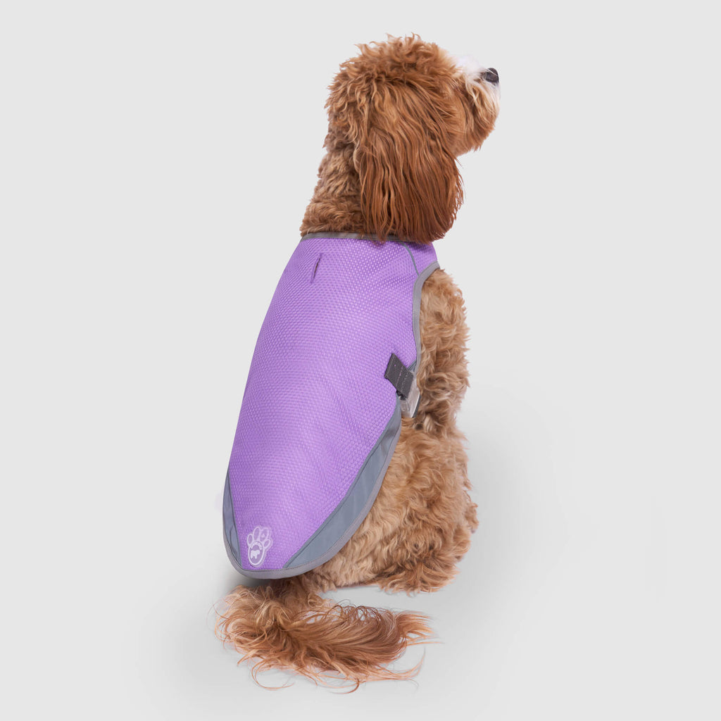 Chill Seeker Cooling Vest Wet Reveal A8qr