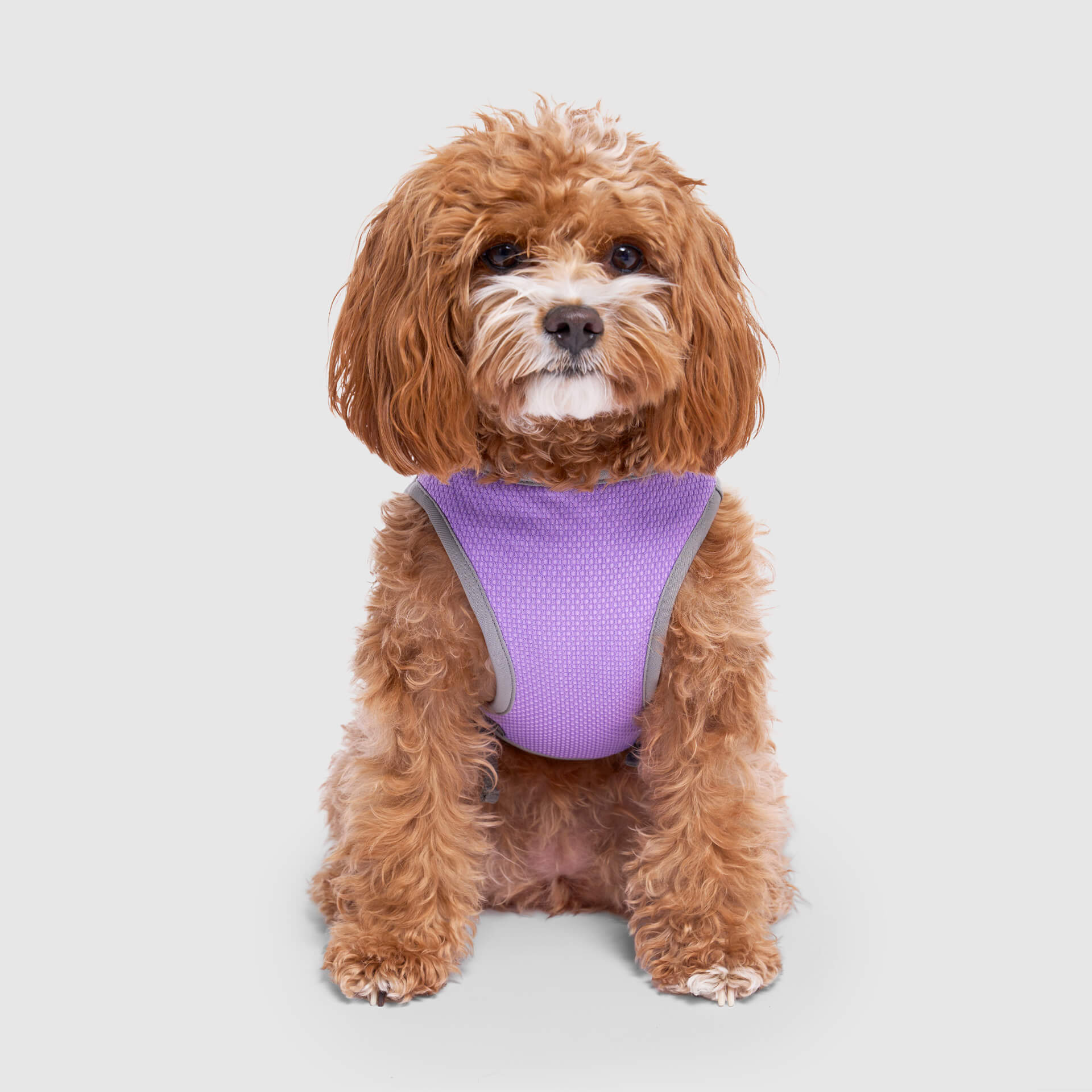 Chill Seeker Cooling Vest Wet Reveal A8qr