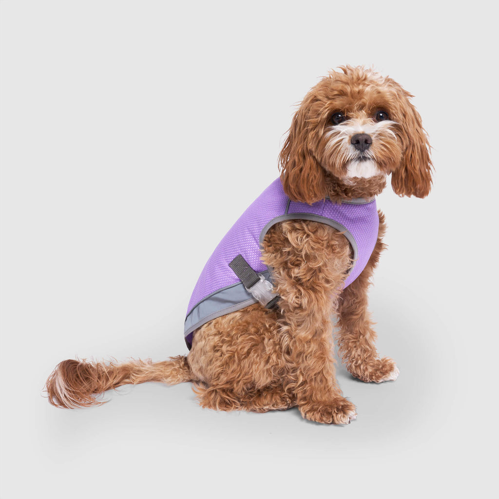 Chill Seeker Cooling Vest Wet Reveal A8qr
