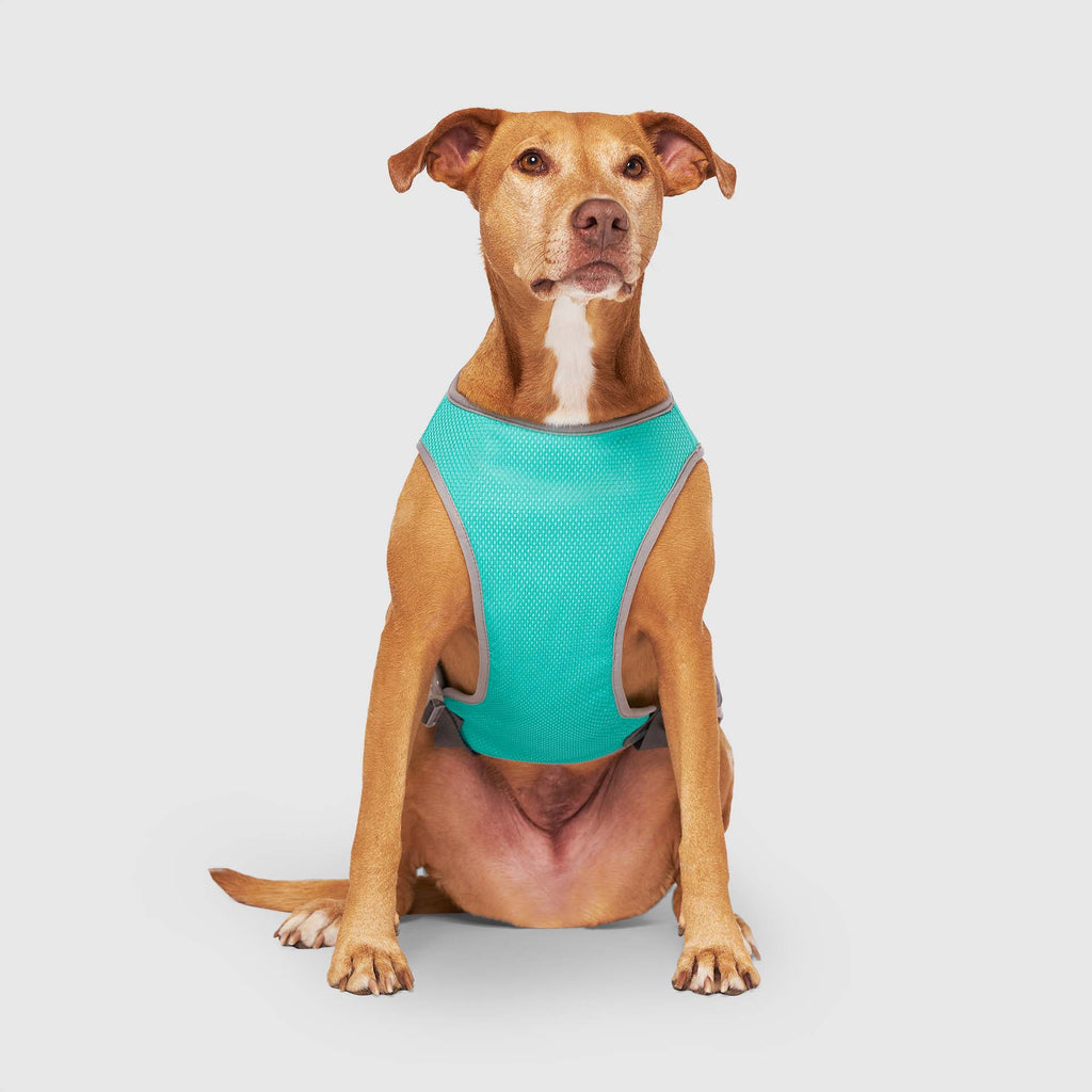 Chill Seeker Cooling Vest Wet Reveal A8qr