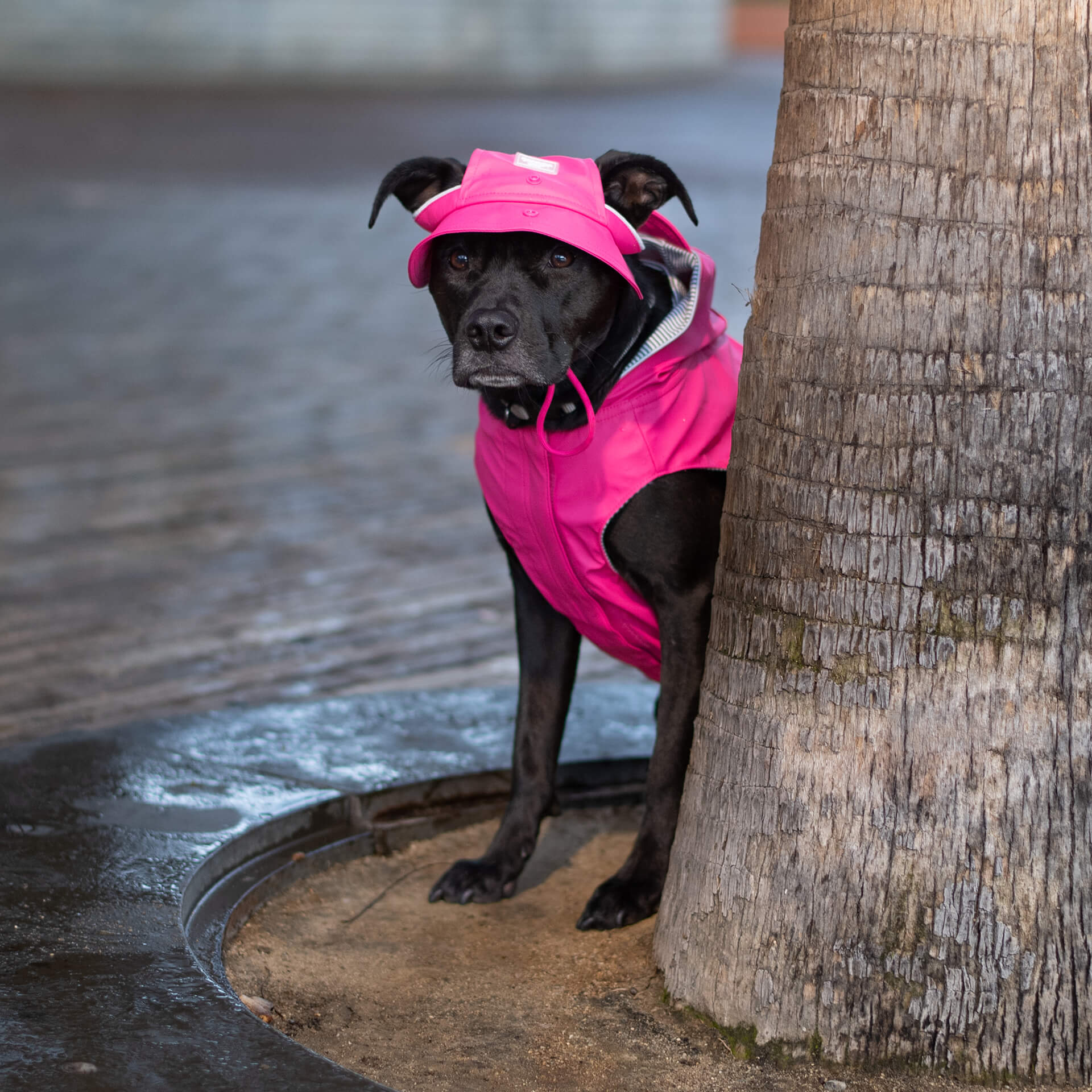 Torrential Tracker Rain Hat I0vb