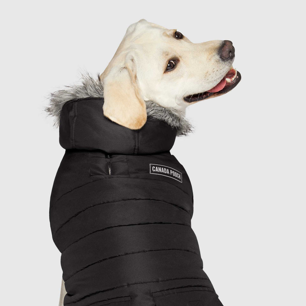 True North Parka C8ab