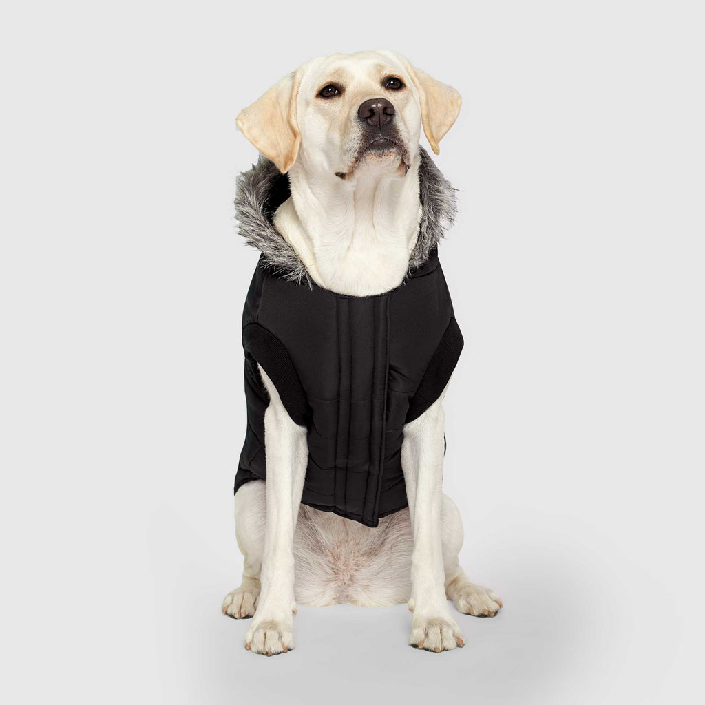 True North Parka C8ab