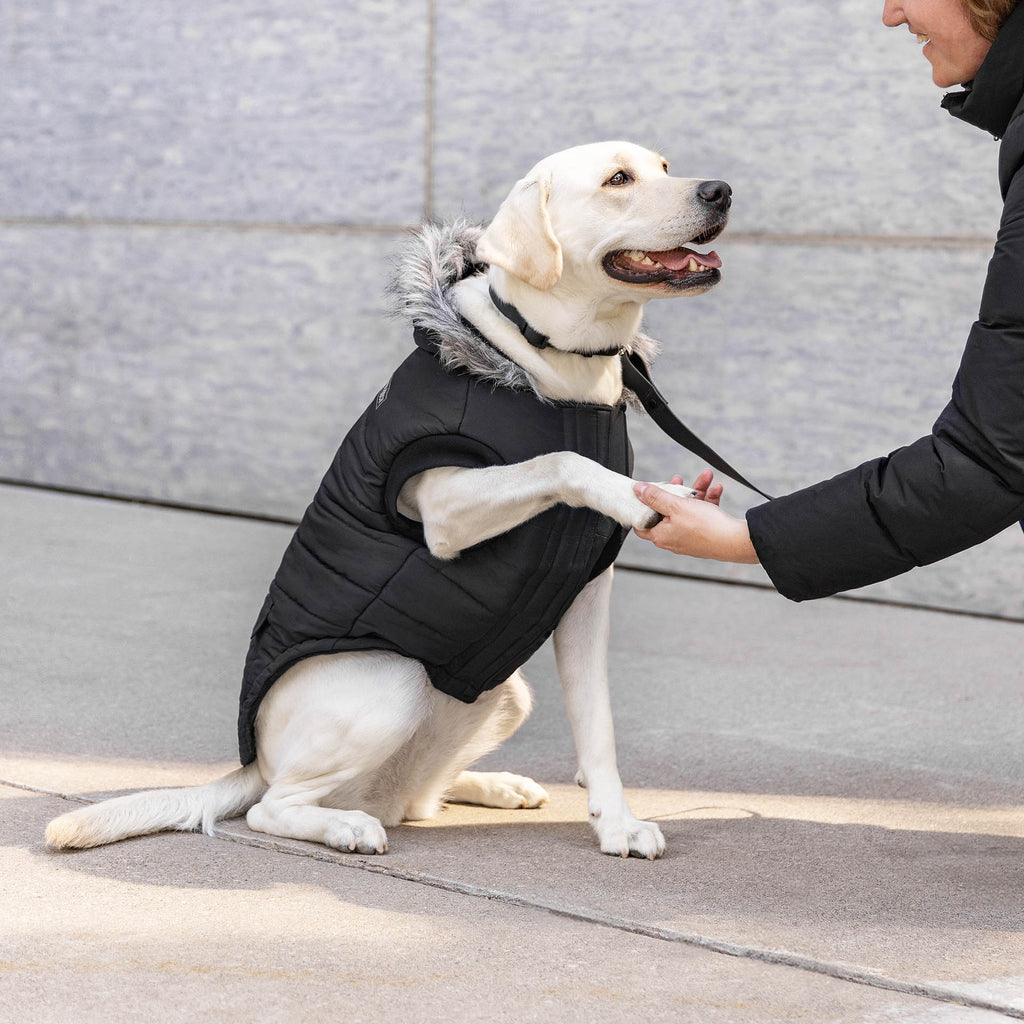 True North Parka C8ab