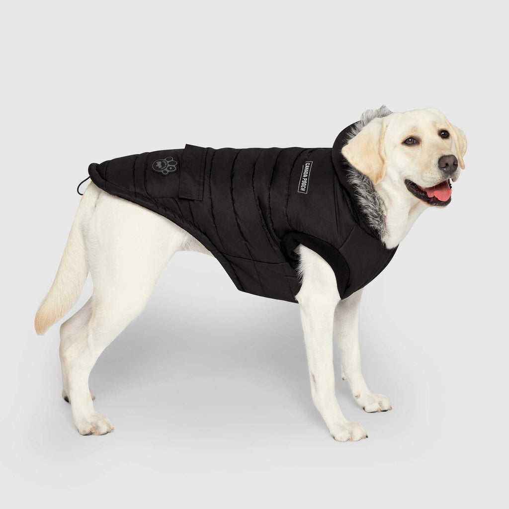 True North Parka C8ab