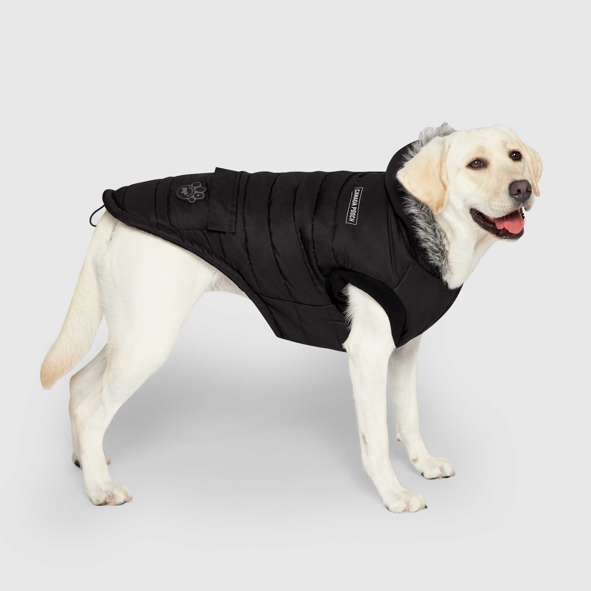 True North Parka C8ab