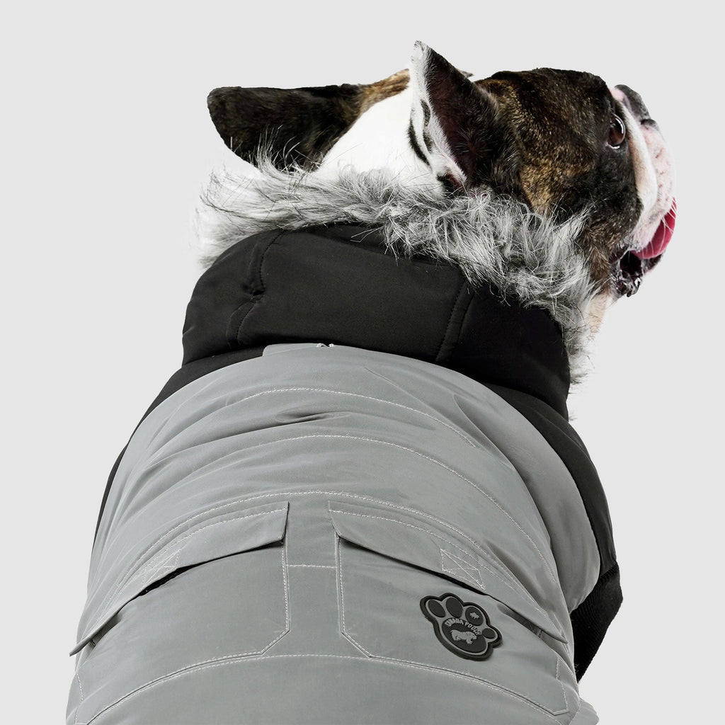 True North Parka C8ab