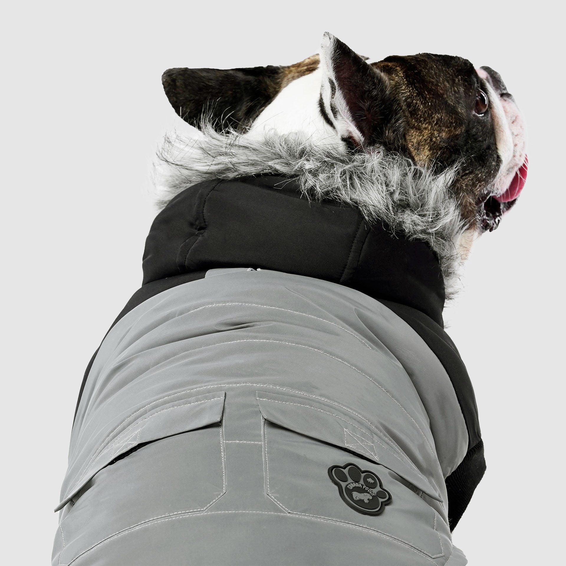 True North Parka C8ab
