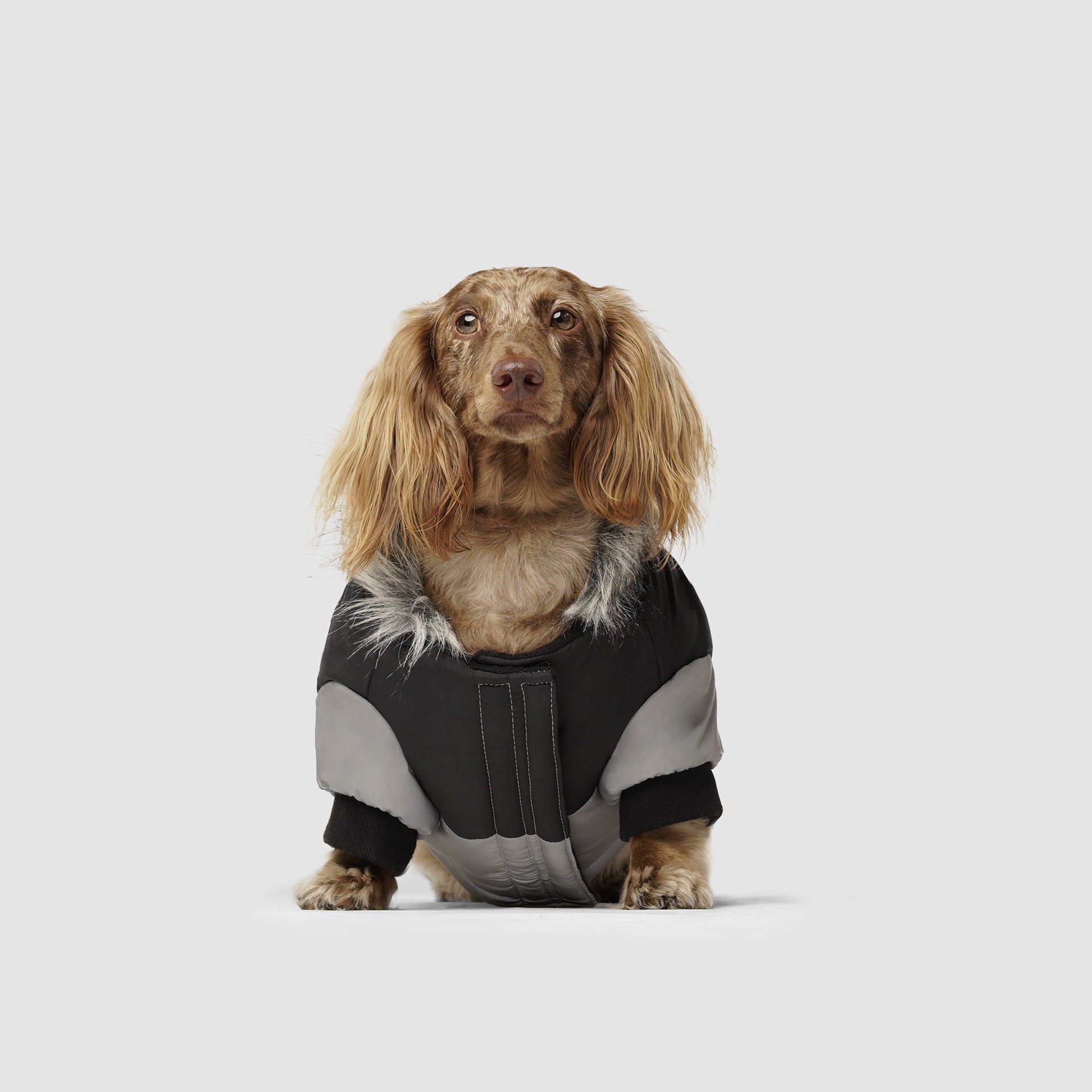 True North Parka C8ab