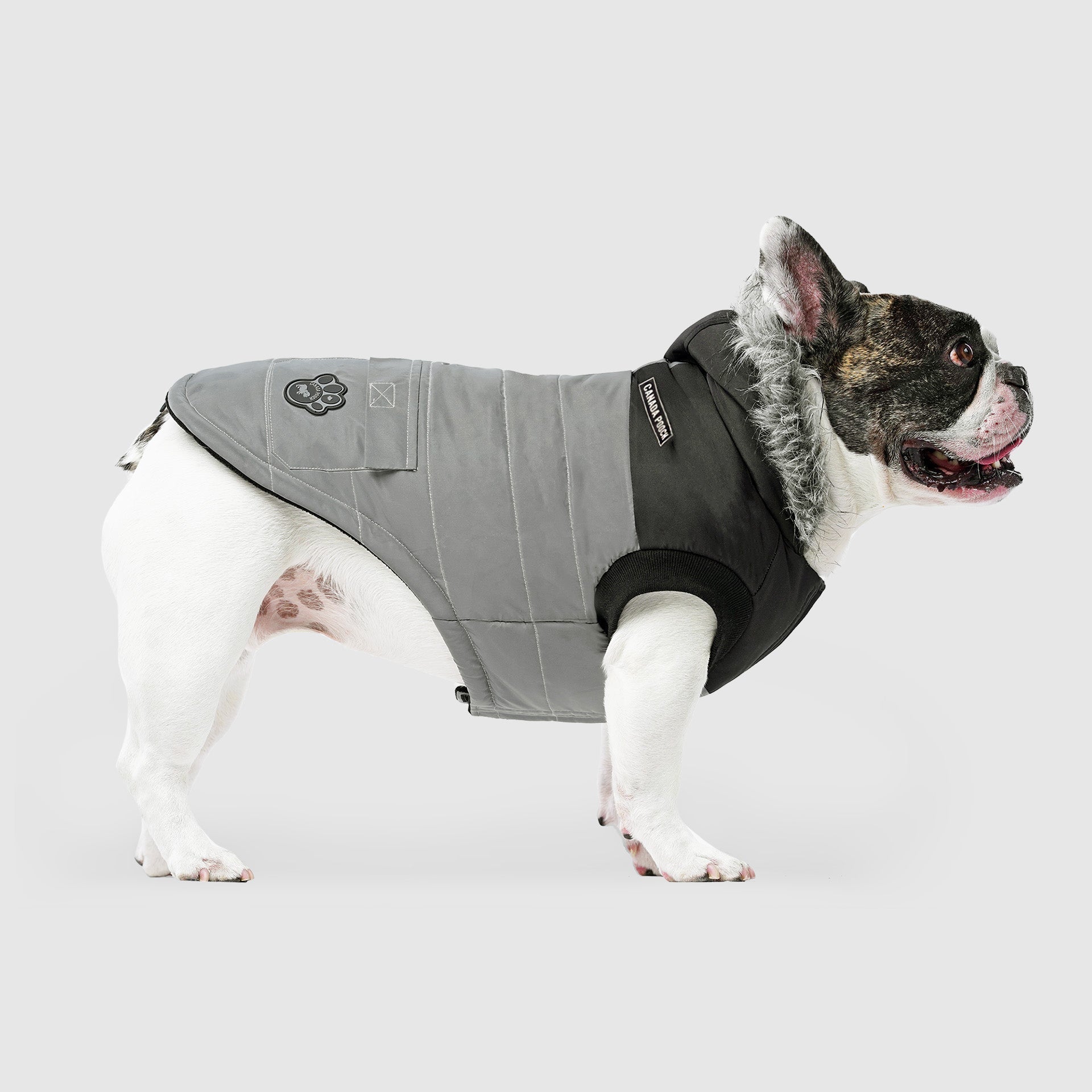True North Parka C8ab