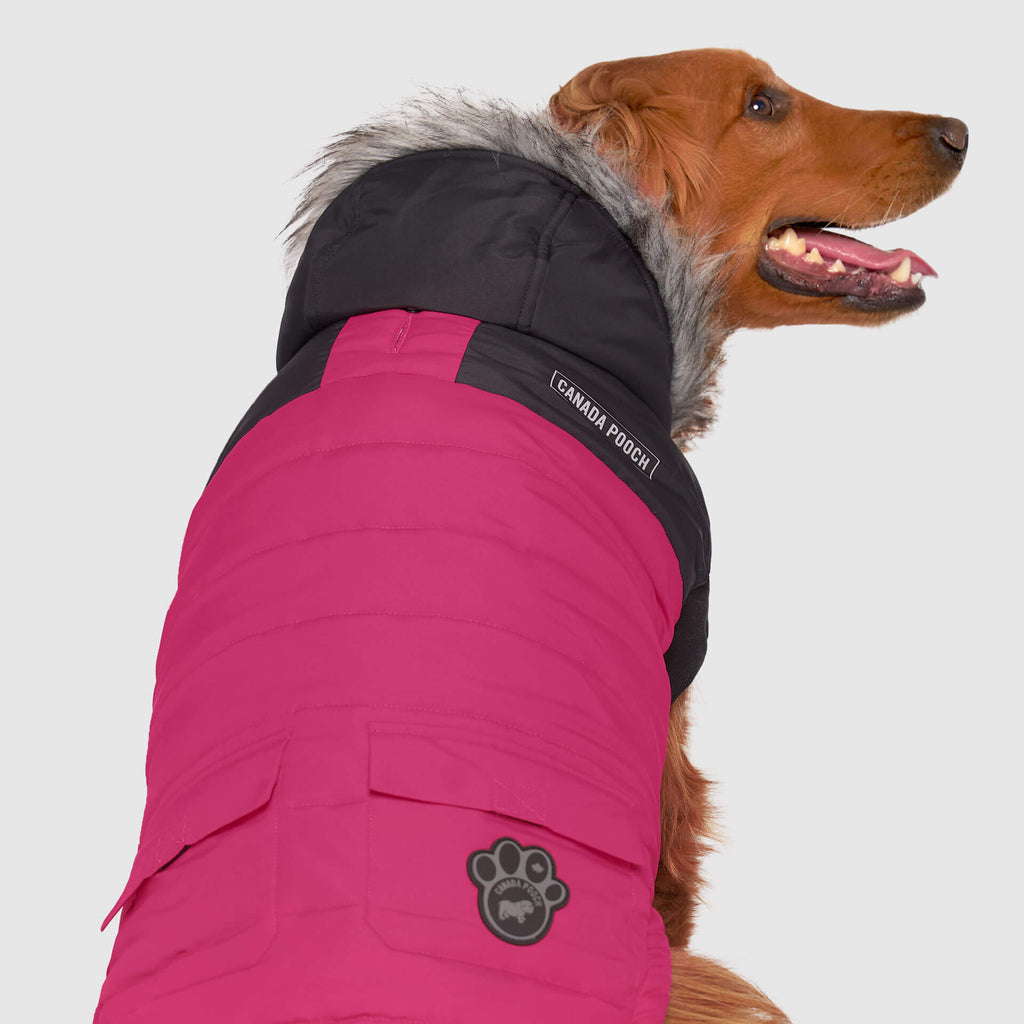 True North Parka C8ab