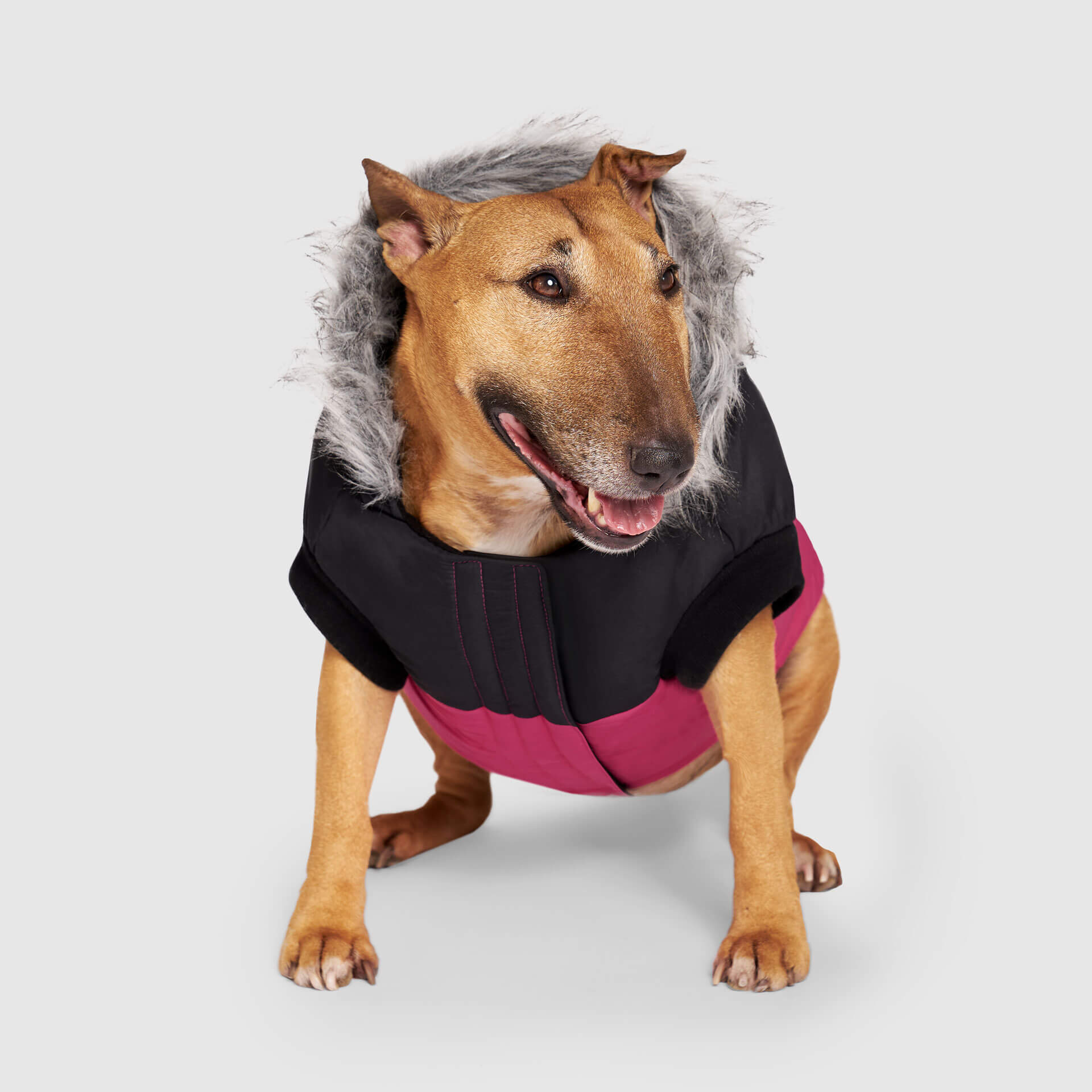True North Parka C8ab