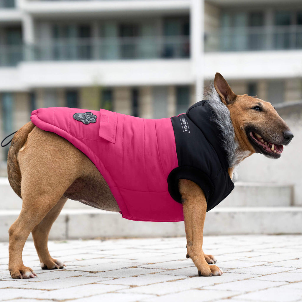 True North Parka C8ab