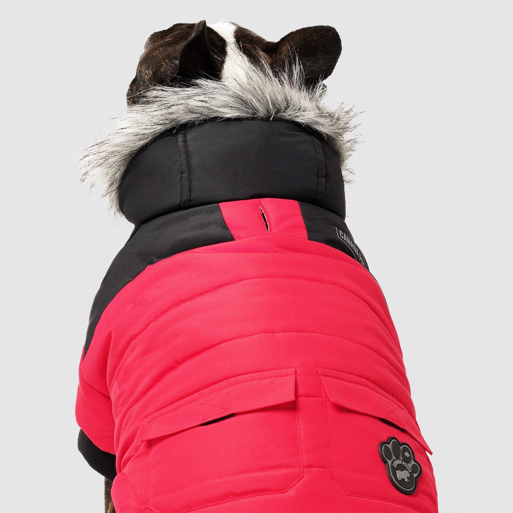 True North Parka C8ab