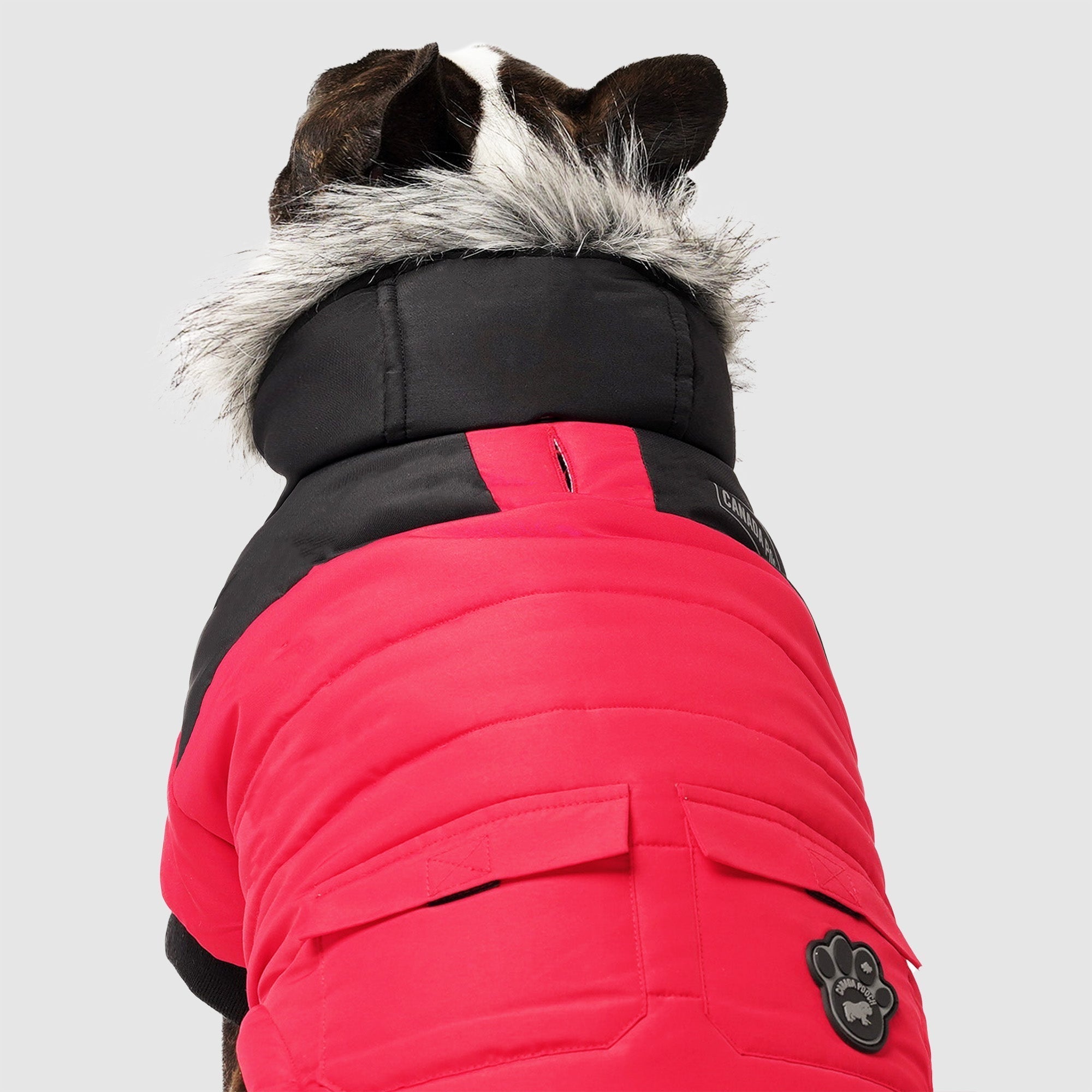 True North Parka C8ab