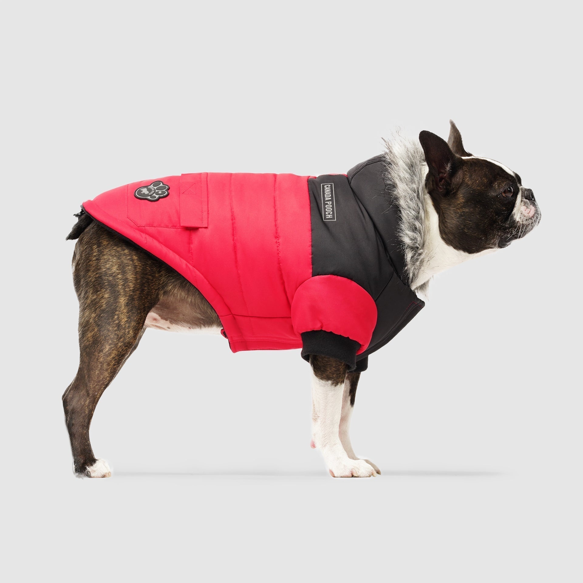 True North Parka C8ab
