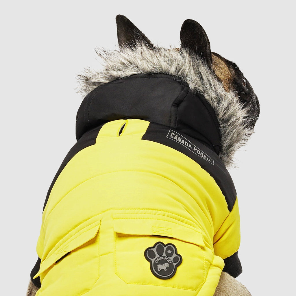 True North Parka C8ab