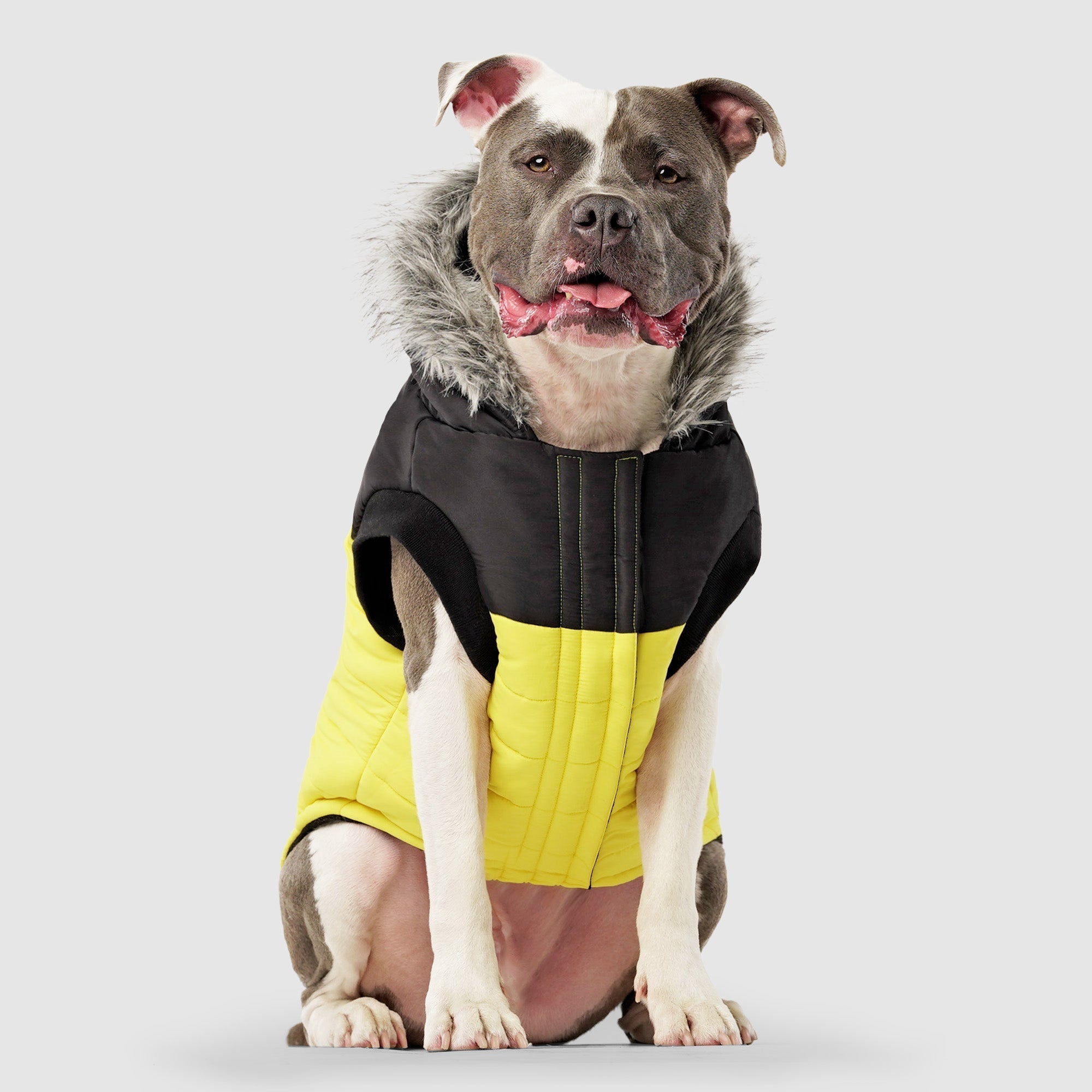 True North Parka C8ab