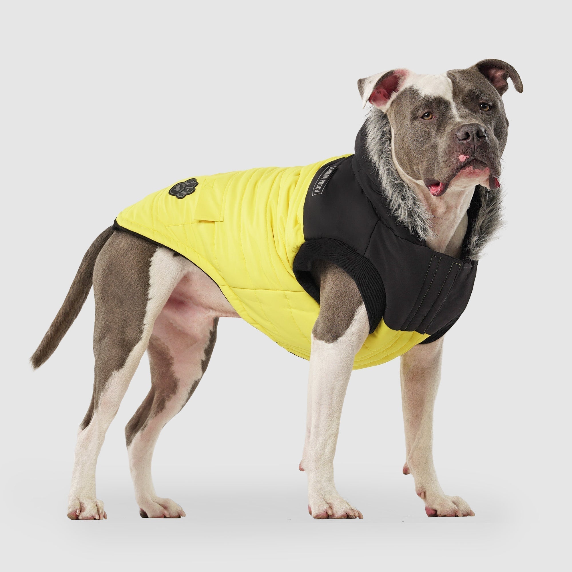 True North Parka C8ab