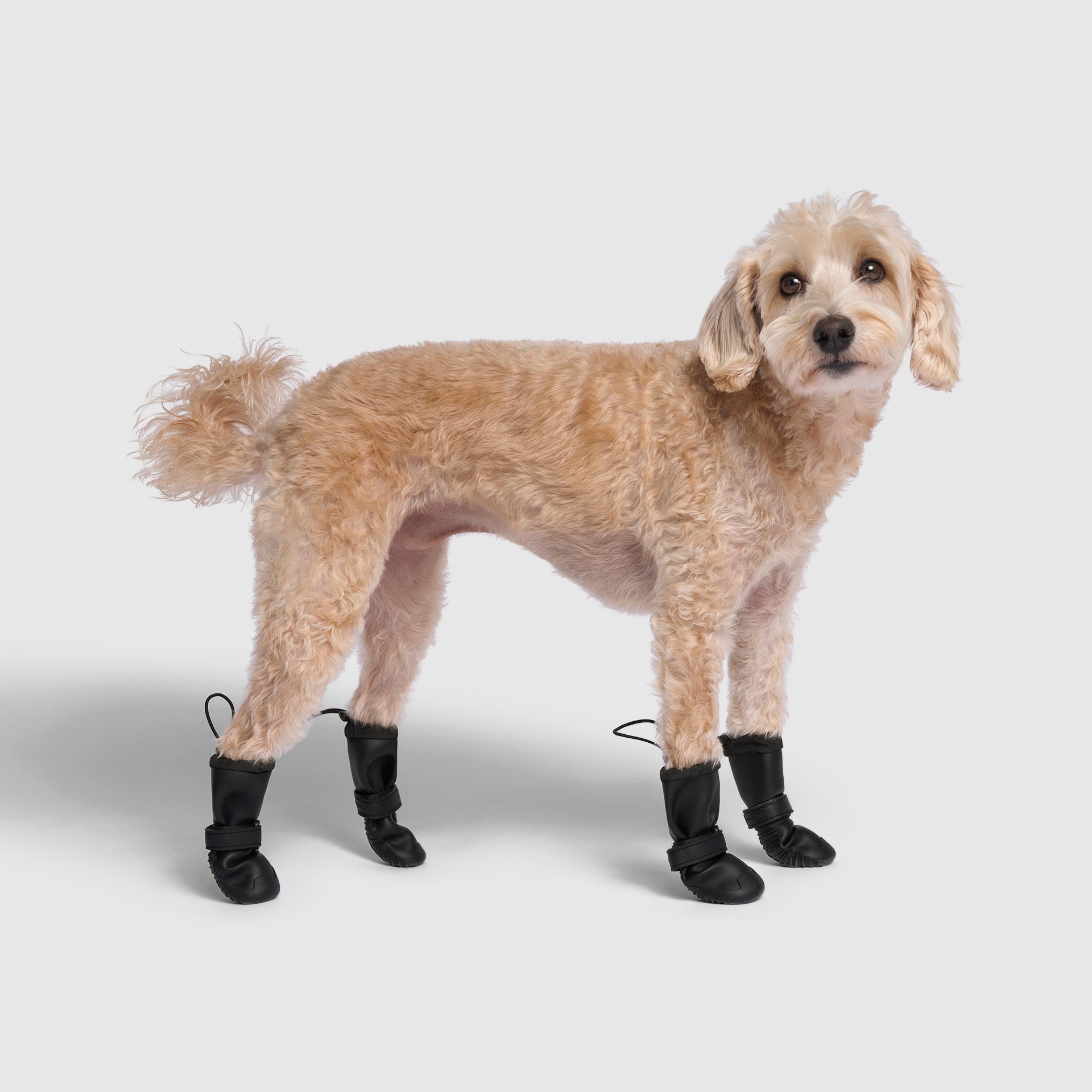 Waterproof Rain Boots K3nb