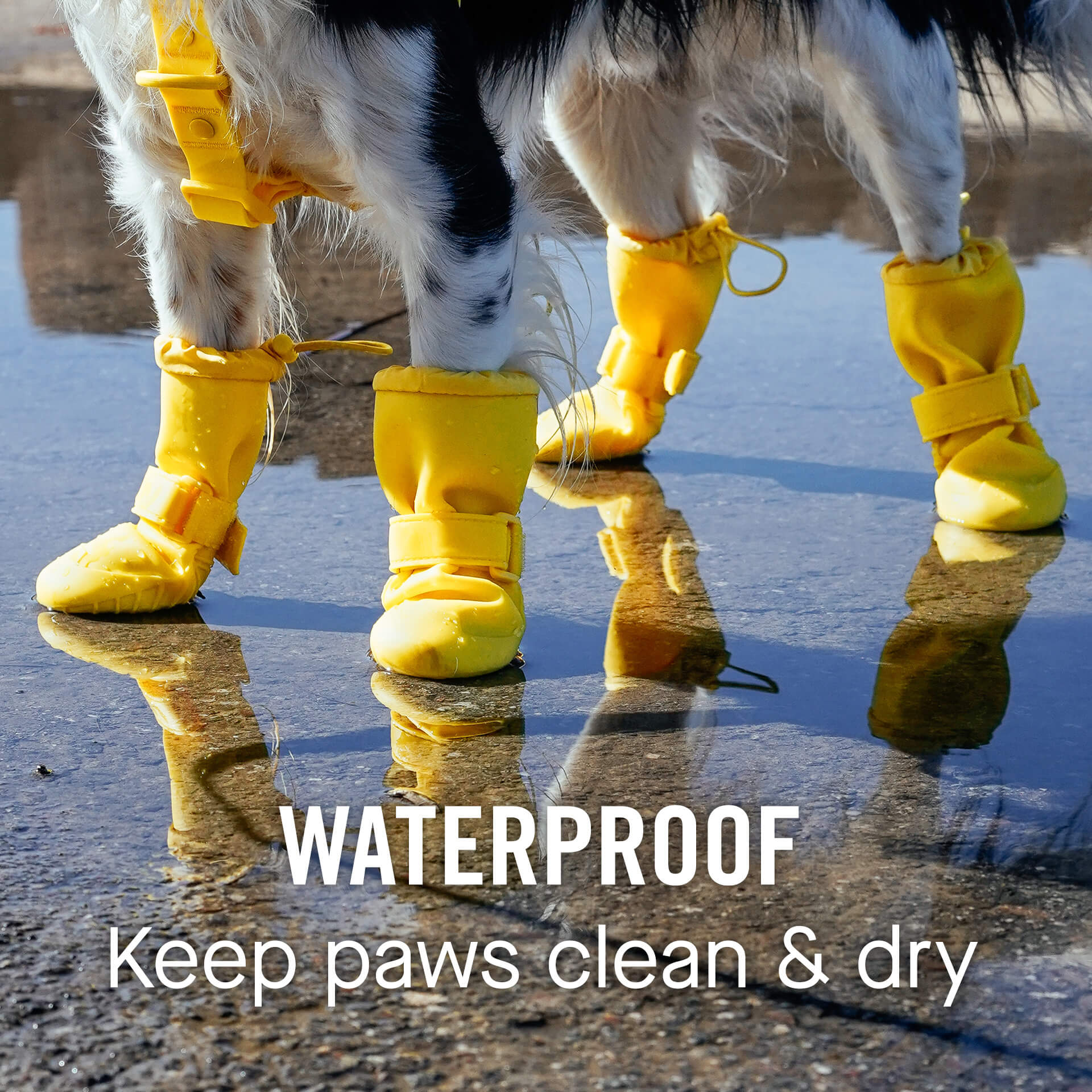 Waterproof Rain Boots K3nb