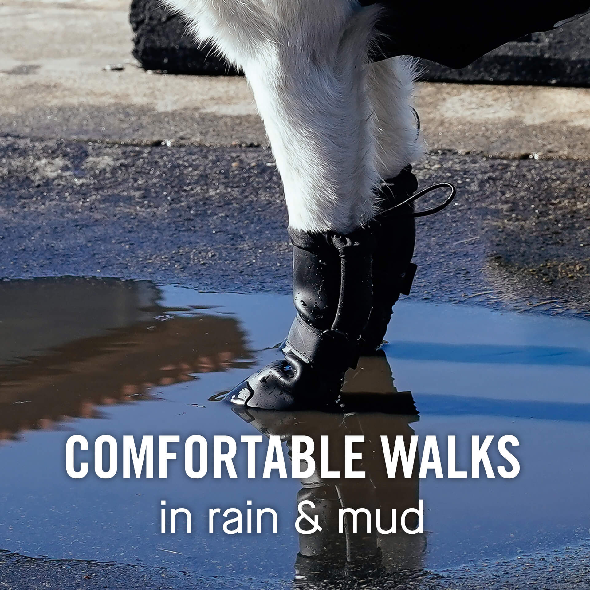 Waterproof Rain Boots K3nb