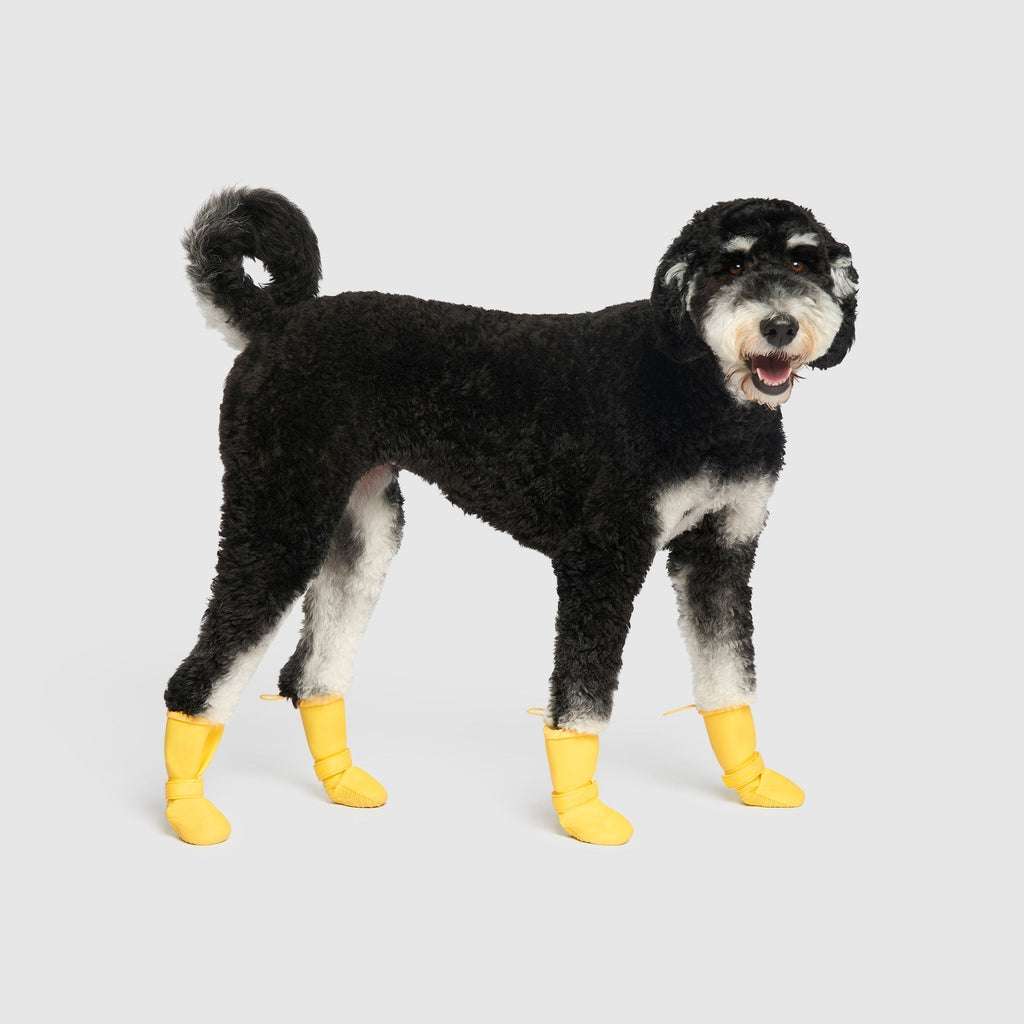 Waterproof Rain Boots K3nb