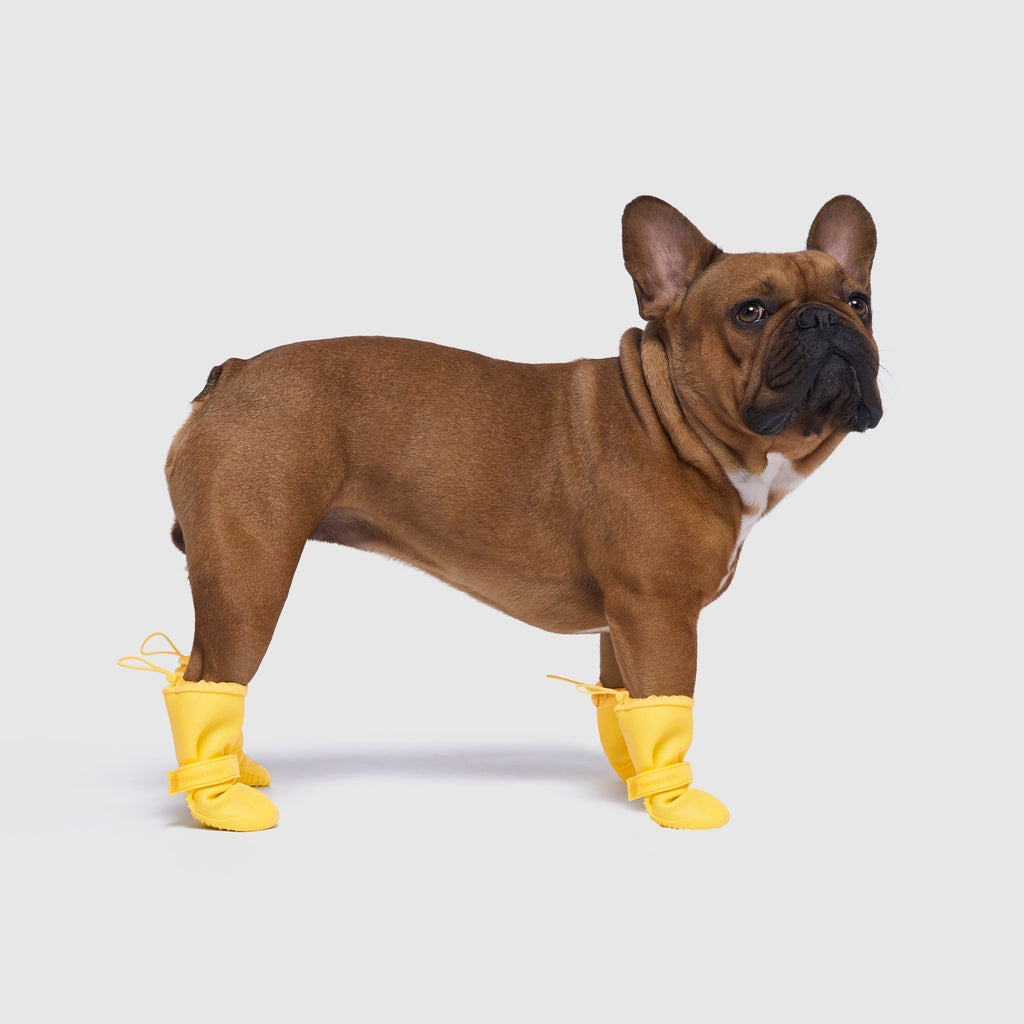 Waterproof Rain Boots K3nb