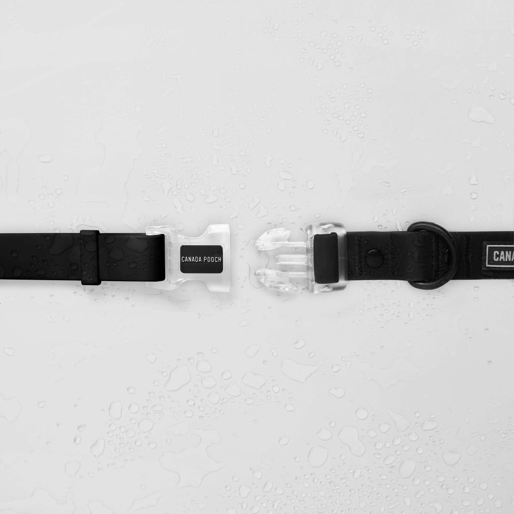 Waterproof Collar Z7eq