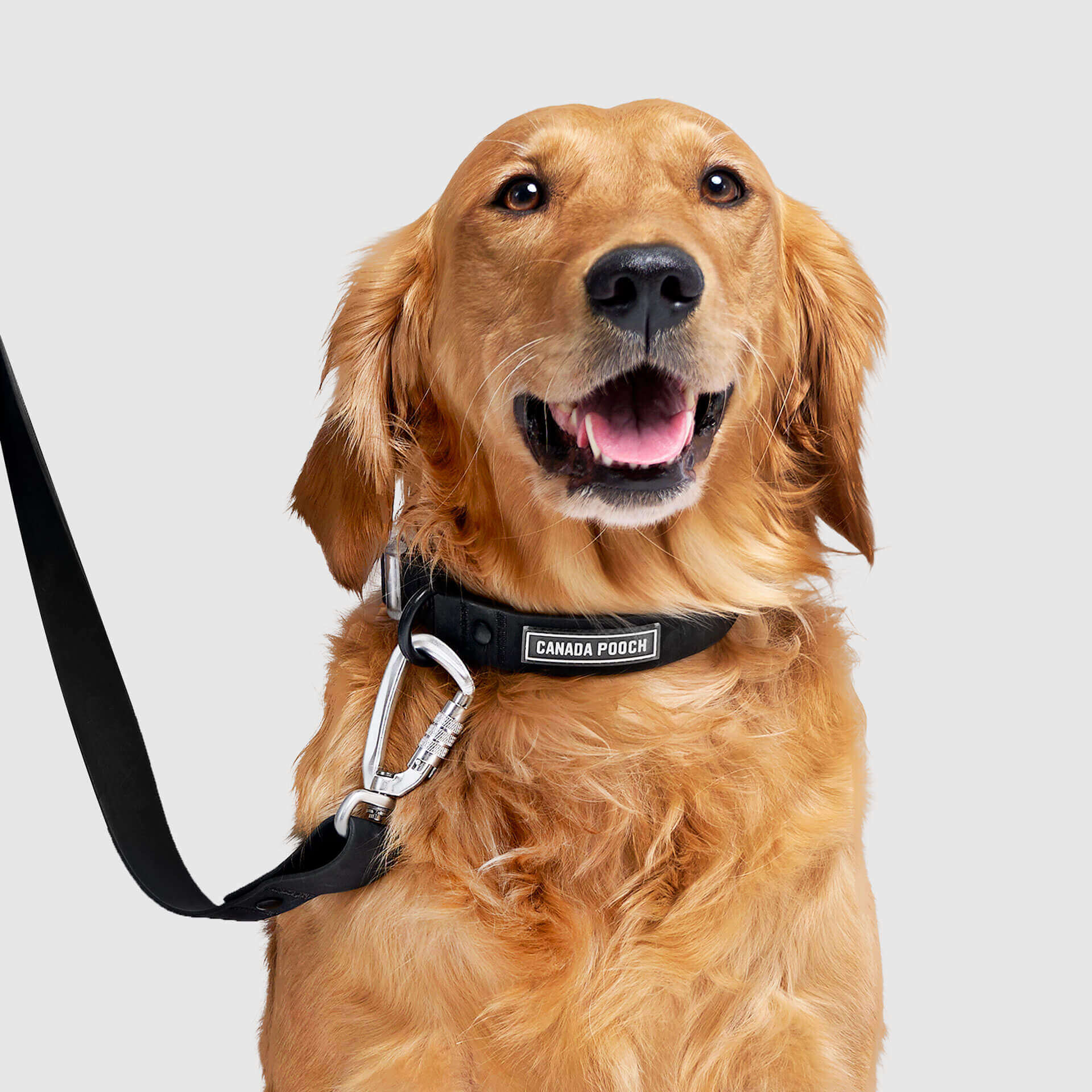 Waterproof Collar Z7eq
