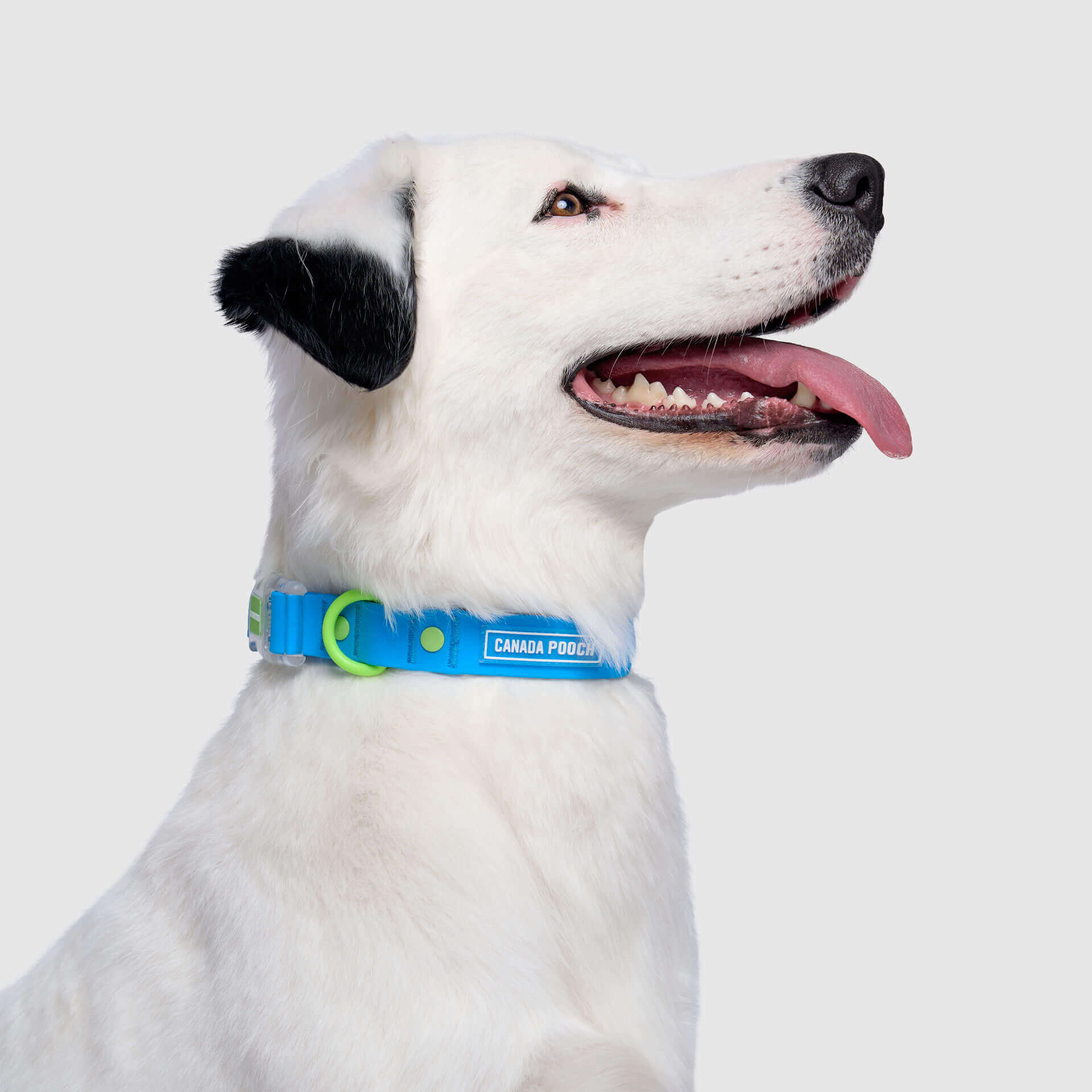 Waterproof Collar Z7eq