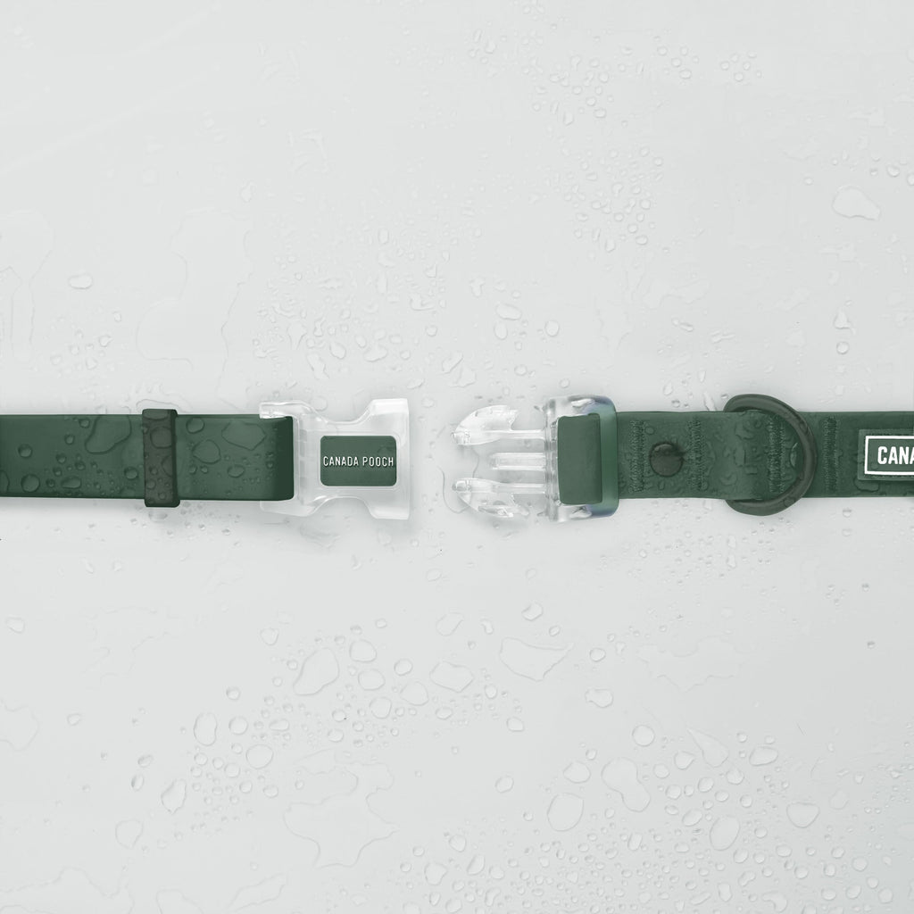Waterproof Collar Z7eq